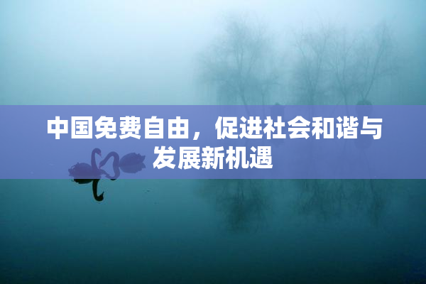 中国免费自由，促进社会和谐与发展新机遇