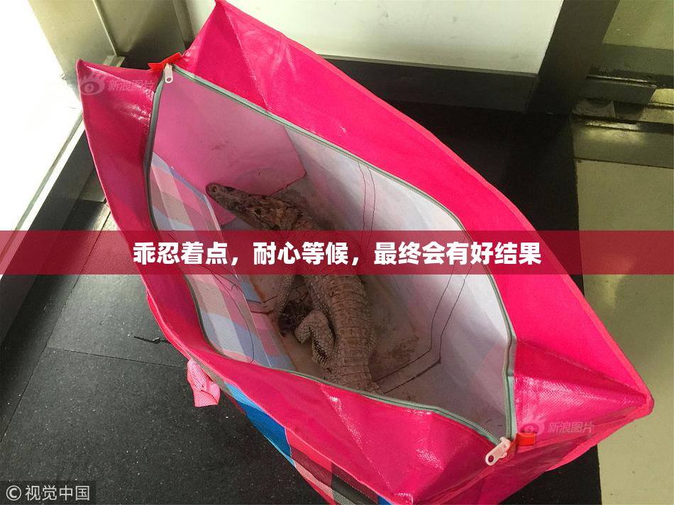 乖忍着点，耐心等候，最终会有好结果