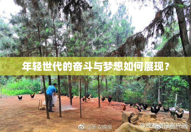 年轻世代的奋斗与梦想如何展现？