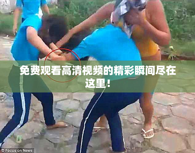 免费观看高清视频的精彩瞬间尽在这里！