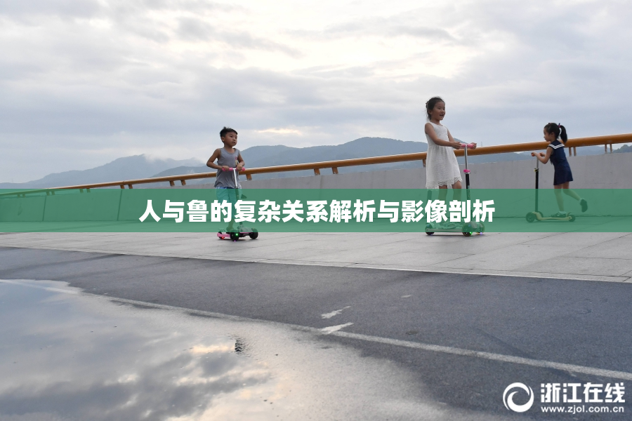 人与鲁的复杂关系解析与影像剖析