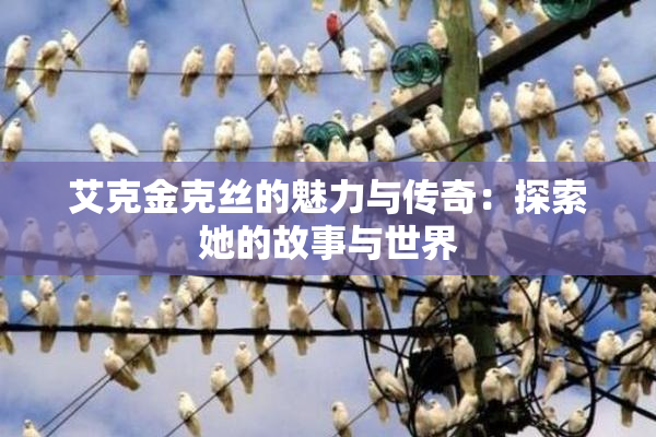 艾克金克丝的魅力与传奇：探索她的故事与世界