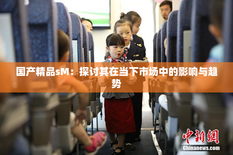 国产精品sM：探讨其在当下市场中的影响与趋势