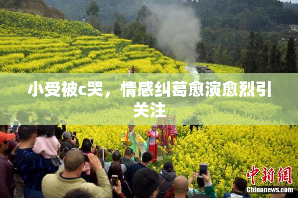小受被c哭，情感纠葛愈演愈烈引关注