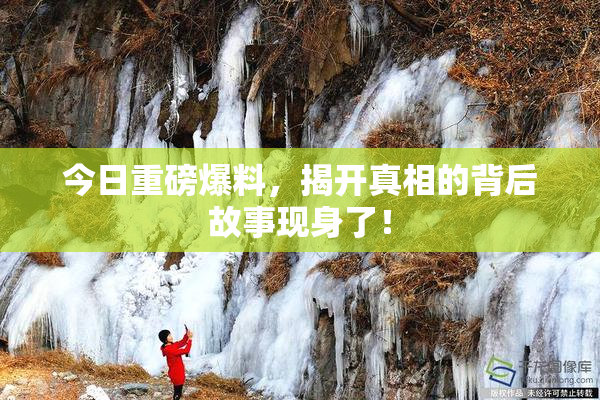 今日重磅爆料，揭开真相的背后故事现身了！
