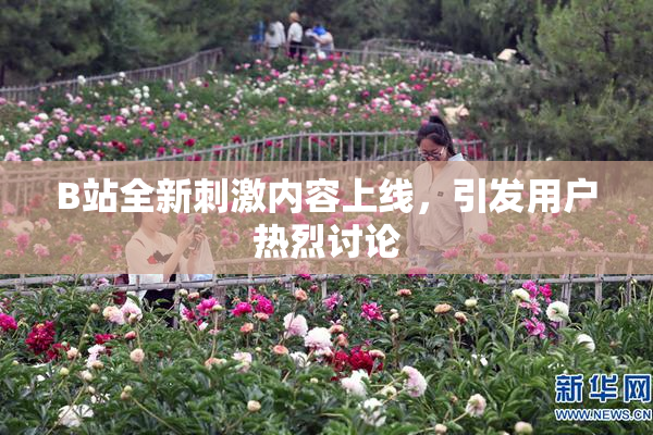 B站全新刺激内容上线，引发用户热烈讨论
