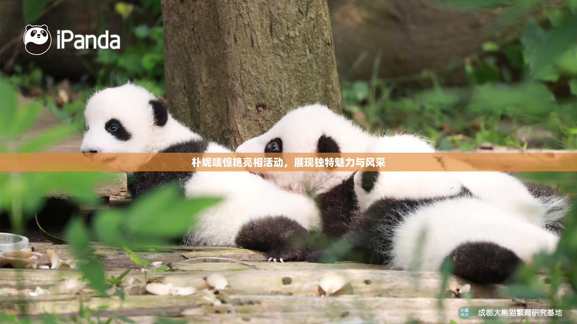 朴妮唛惊艳亮相活动，展现独特魅力与风采