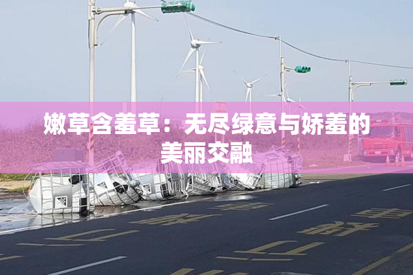 嫩草含羞草：无尽绿意与娇羞的美丽交融