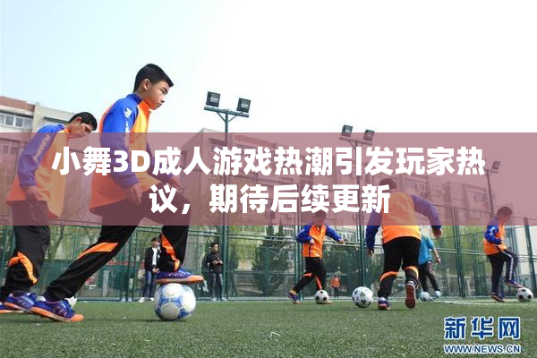 小舞3D成人游戏热潮引发玩家热议，期待后续更新