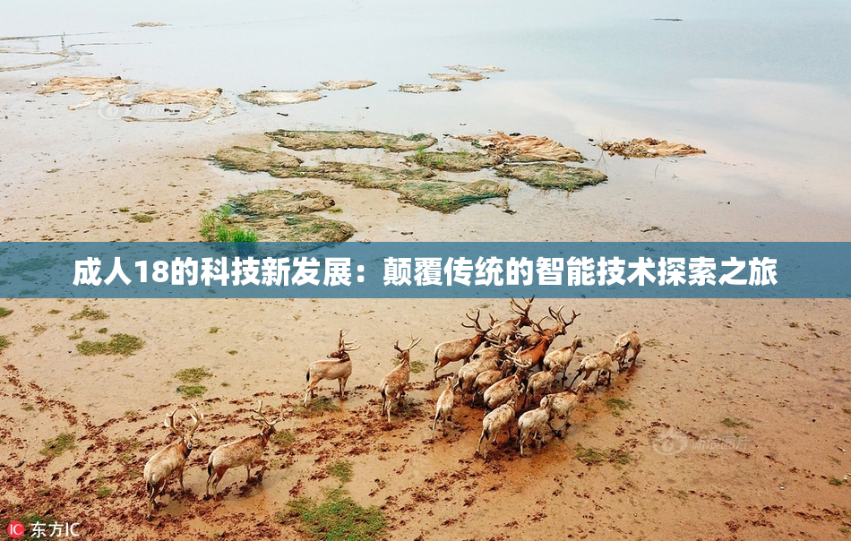 成人18的科技新发展：颠覆传统的智能技术探索之旅