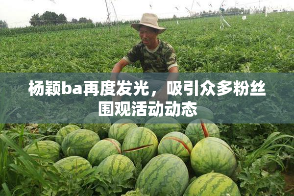 杨颖ba再度发光，吸引众多粉丝围观活动动态
