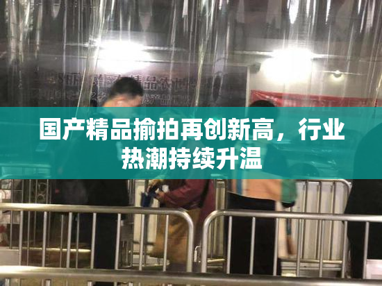 国产精品揄拍再创新高，行业热潮持续升温