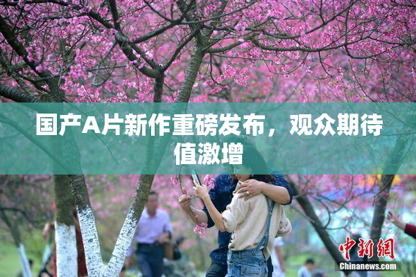 国产A片新作重磅发布，观众期待值激增