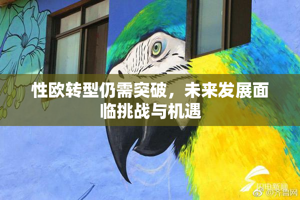 性欧转型仍需突破，未来发展面临挑战与机遇