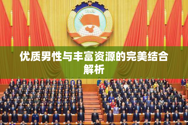 优质男性与丰富资源的完美结合解析