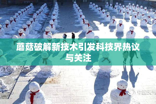 蘑菇破解新技术引发科技界热议与关注