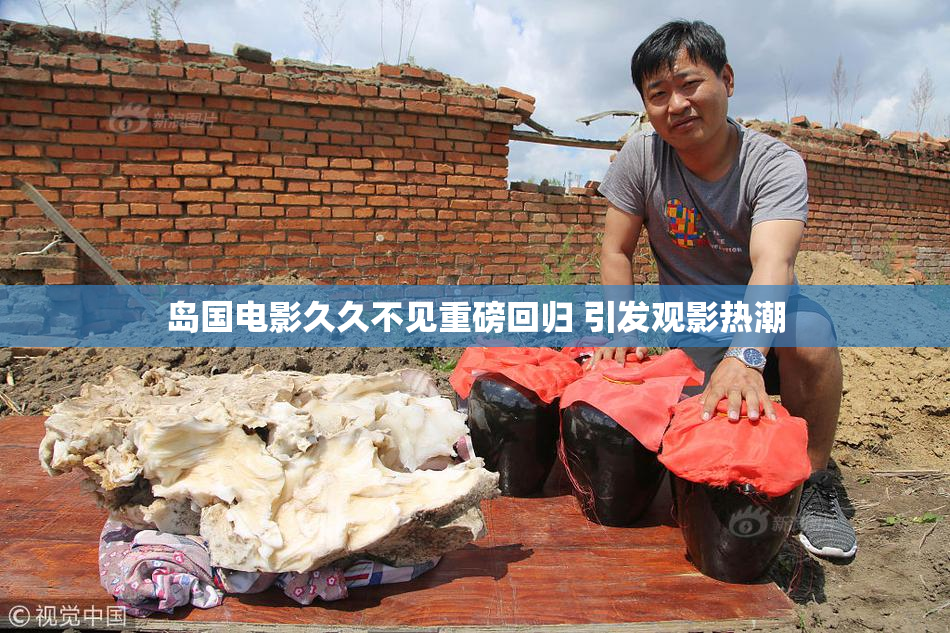 岛国电影久久不见重磅回归 引发观影热潮