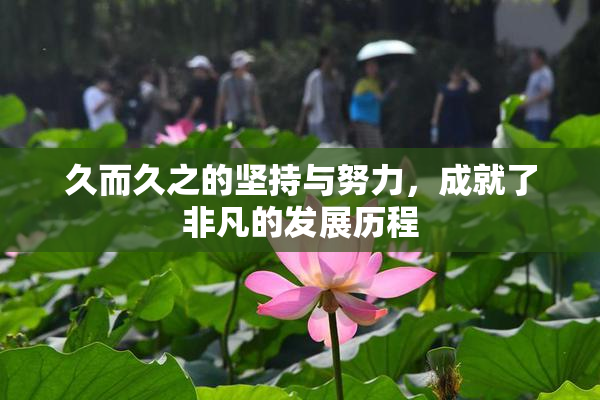 久而久之的坚持与努力，成就了非凡的发展历程