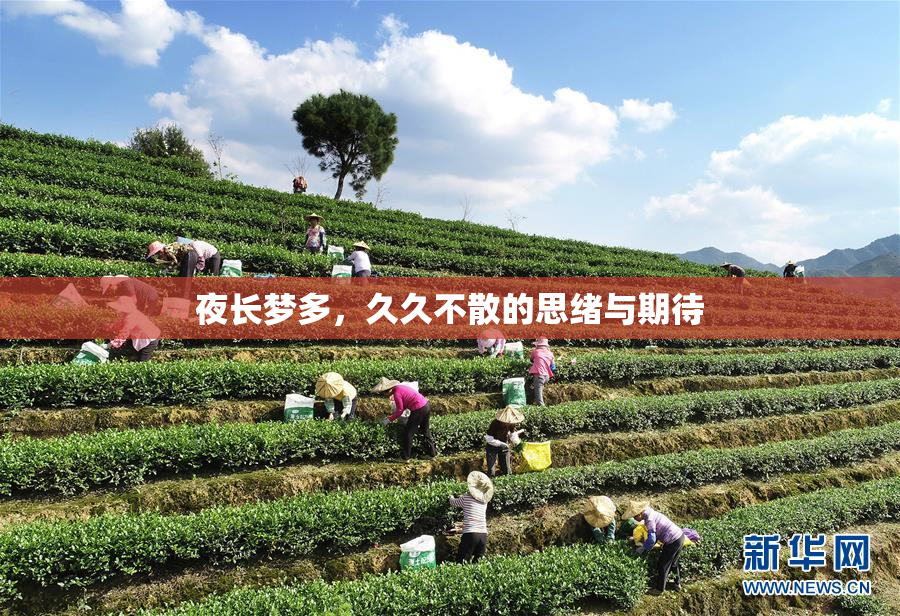夜长梦多，久久不散的思绪与期待