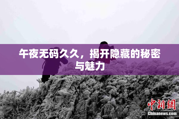 午夜无码久久，揭开隐藏的秘密与魅力
