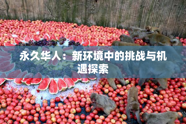 永久华人：新环境中的挑战与机遇探索
