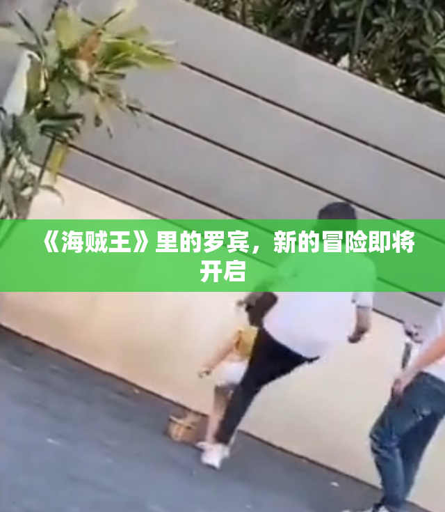 《海贼王》里的罗宾，新的冒险即将开启