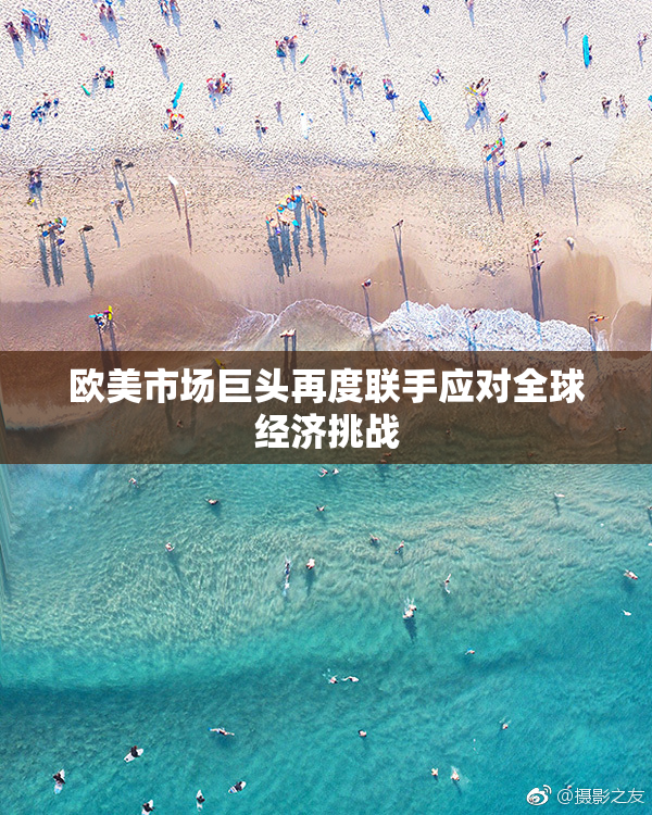 欧美市场巨头再度联手应对全球经济挑战
