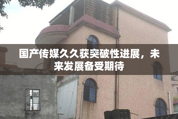国产传媒久久获突破性进展，未来发展备受期待