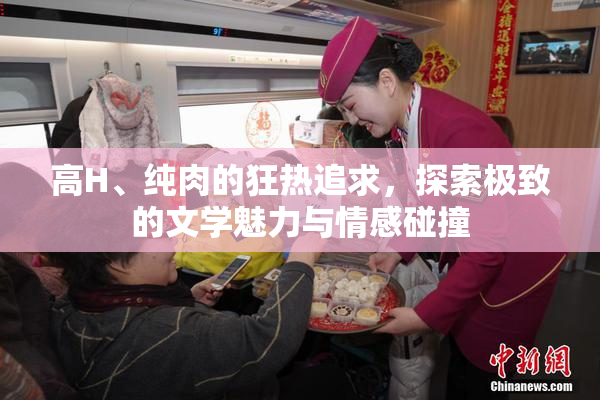 高H、纯肉的狂热追求，探索极致的文学魅力与情感碰撞