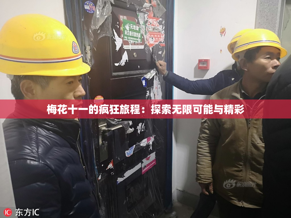 梅花十一的疯狂旅程：探索无限可能与精彩