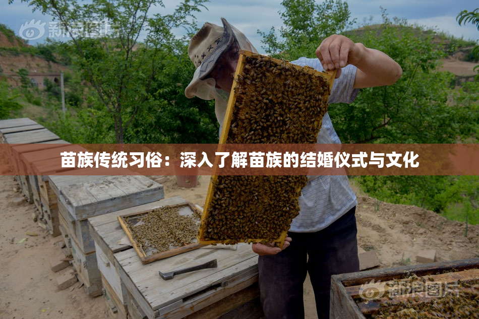 苗族传统习俗：深入了解苗族的结婚仪式与文化