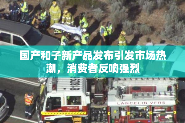 国产和子新产品发布引发市场热潮，消费者反响强烈