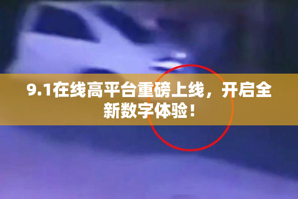 9.1在线高平台重磅上线，开启全新数字体验！