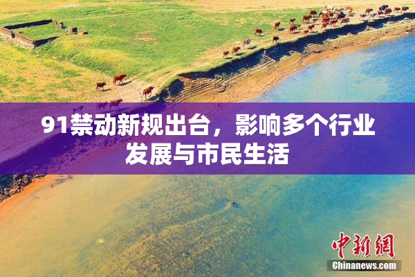 91禁动新规出台，影响多个行业发展与市民生活