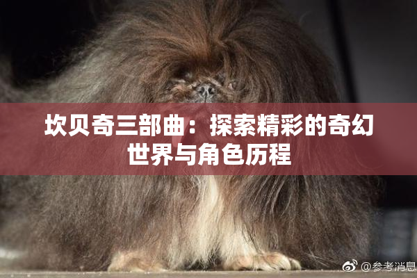 坎贝奇三部曲：探索精彩的奇幻世界与角色历程