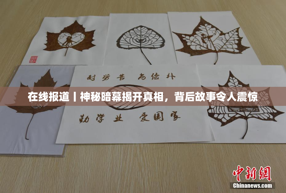 在线报道丨神秘暗幕揭开真相，背后故事令人震惊