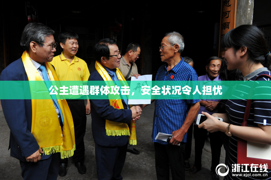 公主遭遇群体攻击，安全状况令人担忧