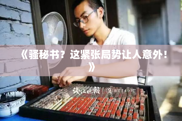 《骚秘书？这紧张局势让人意外！》