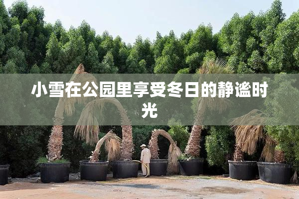 小雪在公园里享受冬日的静谧时光