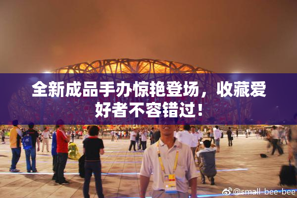 全新成品手办惊艳登场，收藏爱好者不容错过！
