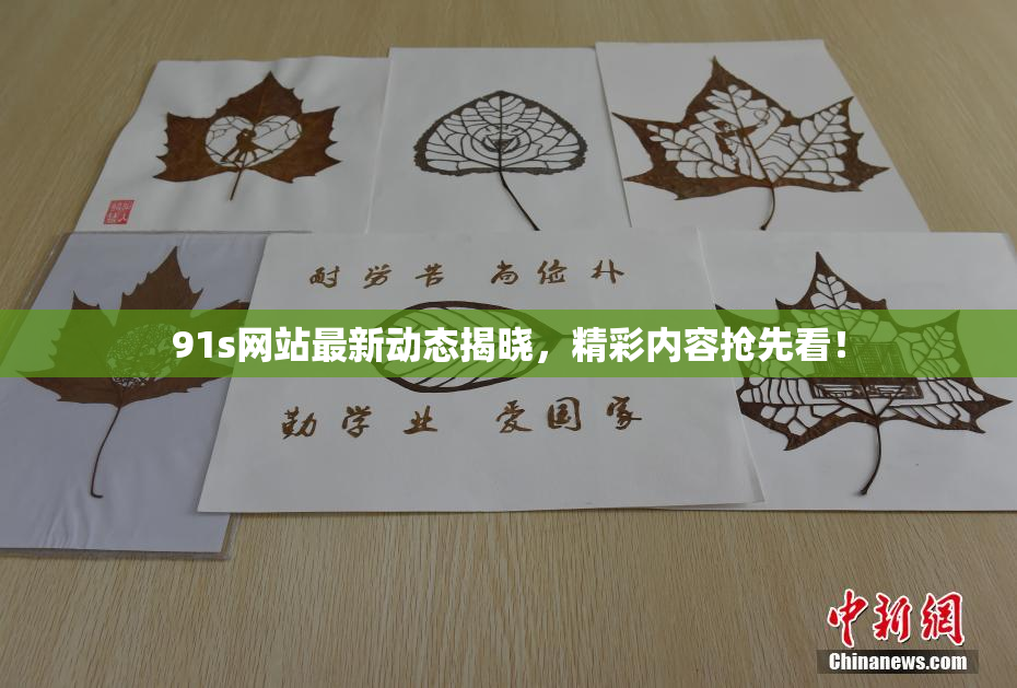 91s网站最新动态揭晓，精彩内容抢先看！