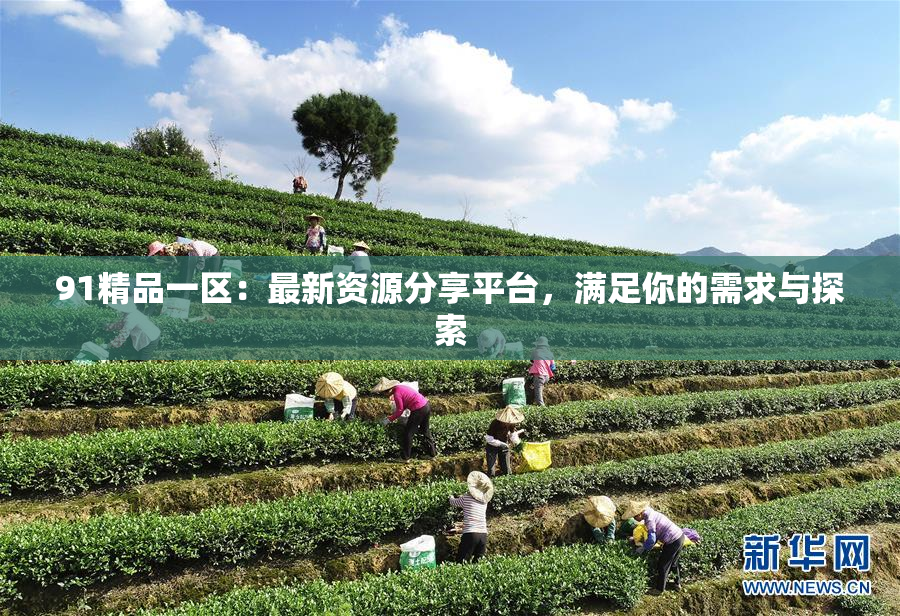 91精品一区：最新资源分享平台，满足你的需求与探索