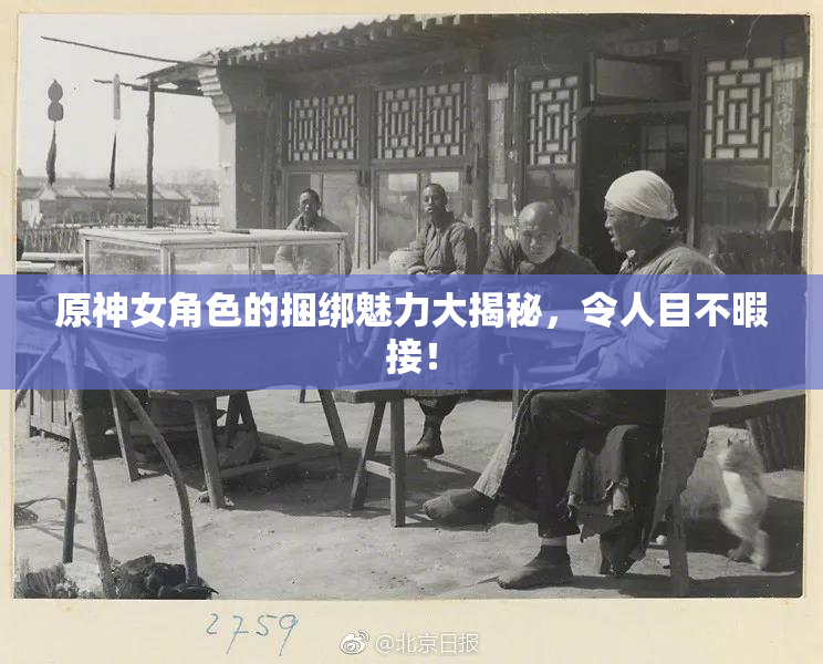 原神女角色的捆绑魅力大揭秘，令人目不暇接！