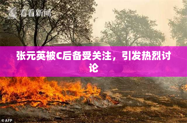 张元英被C后备受关注，引发热烈讨论