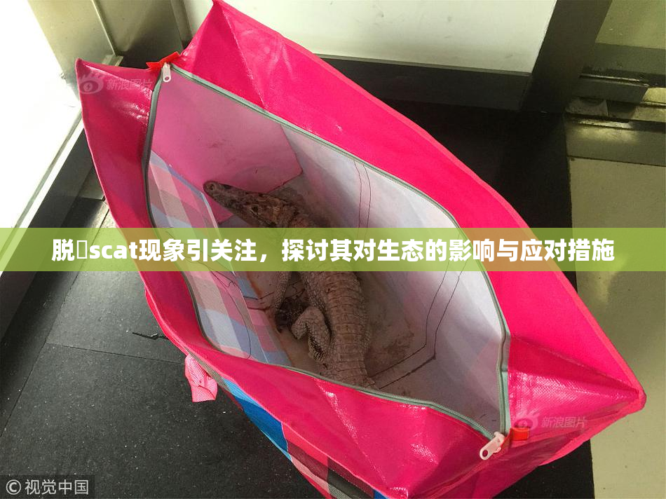 脱糞scat现象引关注，探讨其对生态的影响与应对措施