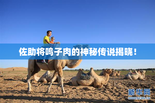佐助将鸣子肉的神秘传说揭晓！