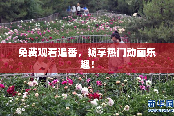 免费观看追番，畅享热门动画乐趣！