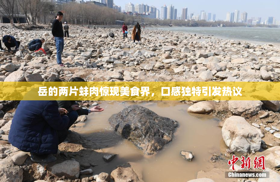 岳的两片蚌肉惊现美食界，口感独特引发热议