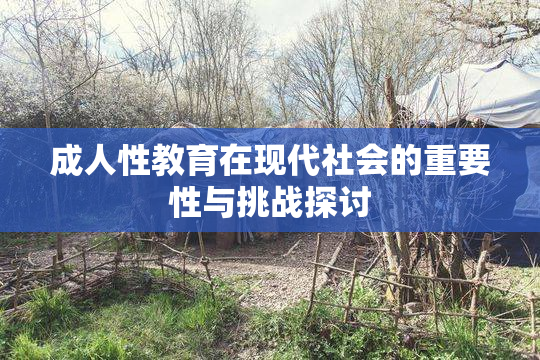 成人性教育在现代社会的重要性与挑战探讨