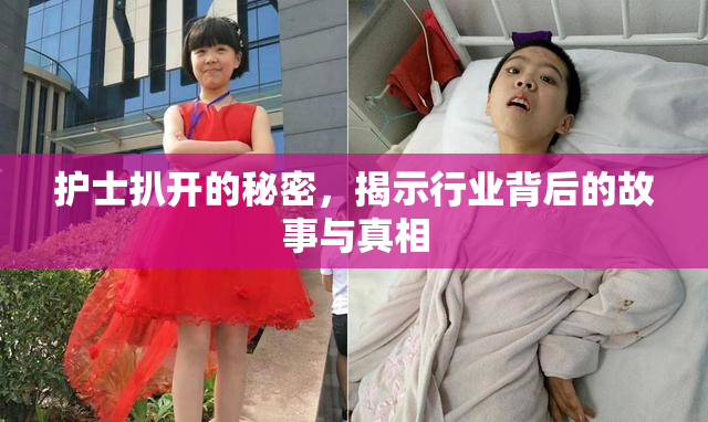 护士扒开的秘密，揭示行业背后的故事与真相